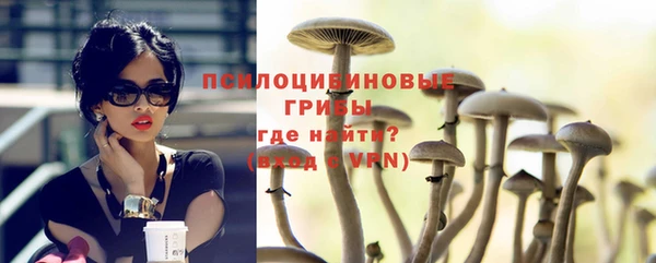 круглые Абаза