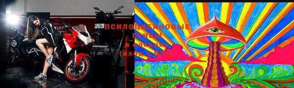 круглые Абаза