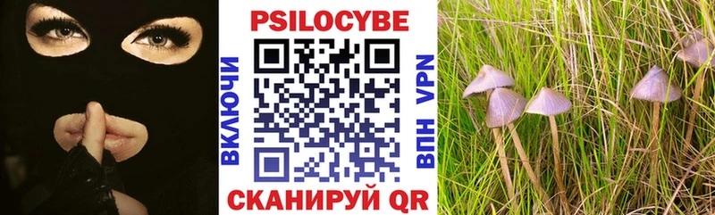 где можно купить Балаково Псилоцибиновые грибы мухоморы